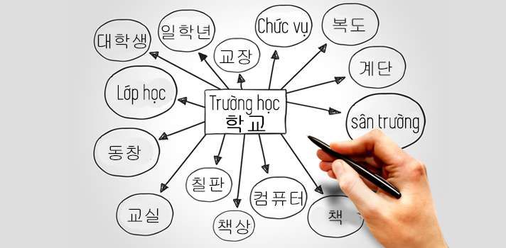 Tầm Quan Trọng của Từ Vựng Trong Việc Học Tiếng Hàn