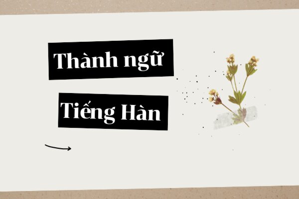 Thành Ngữ và Cụm Từ Phổ Biến Trong Tiếng Hàn